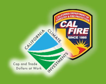 CAL FIRE CCI Logo